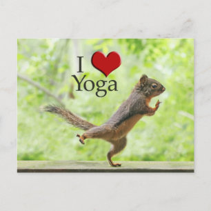 I Love Yoga Squirrel Postcard
