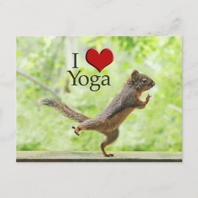 I Love Yoga Squirrel Postcard (Front)
