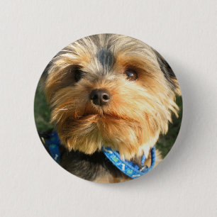I Love Yorkies 6 Cm Round Badge