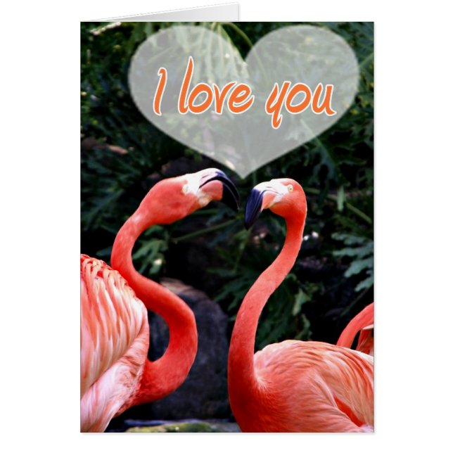 I Love You_ (Front)