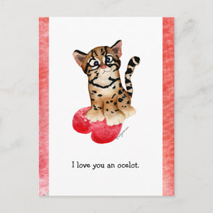 I Love You An Ocelot Postcard