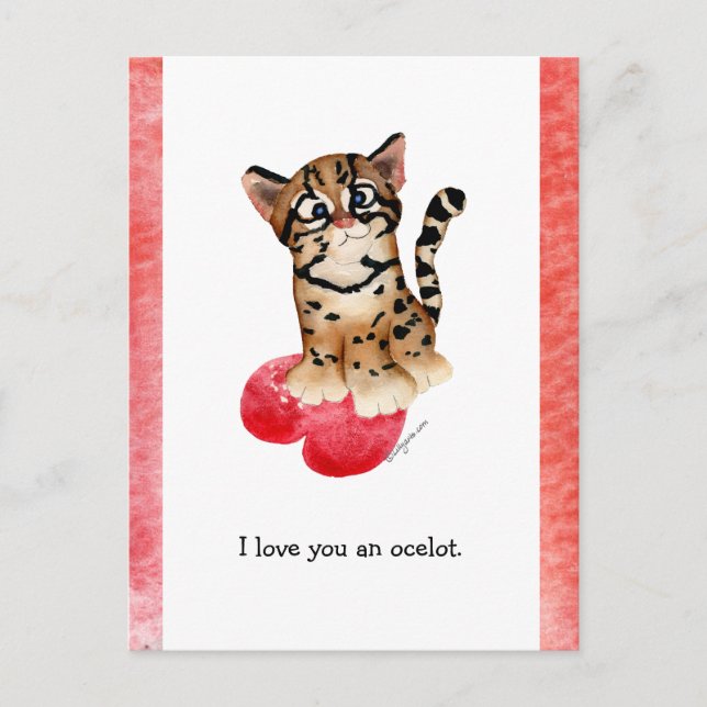 I Love You An Ocelot Postcard (Front)