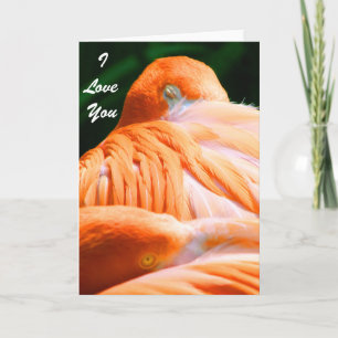 I Love You/ Any occasion _Card Card