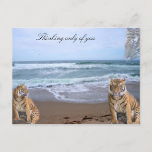 I love you/Any Occasion_ Postcard_by Elenne Boothe Postcard
