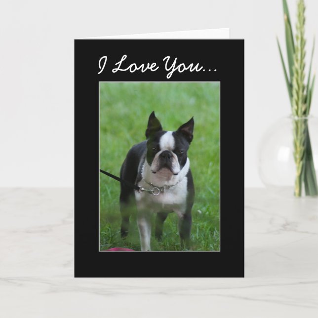 I Love you Boston Terrier greeting card (Front)