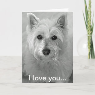 I Love You Card - Cute Westie Dog Card