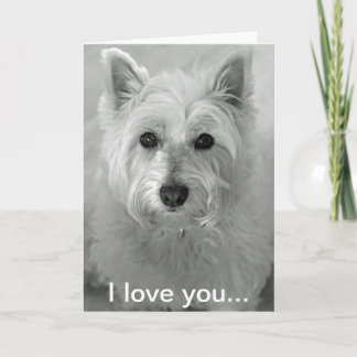 I Love You Card - Cute Westie Dog Card