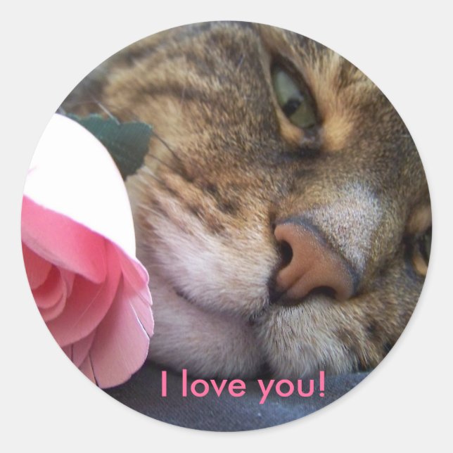 I Love You Cat Sticker (Front)
