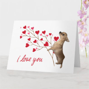 I Love You Chihuahua Card