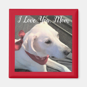 I Love you Dog Mum white Labrador Retriever Mix Magnet