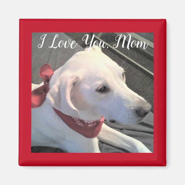I Love you Dog Mum white Labrador Retriever Mix Magnet (Front)