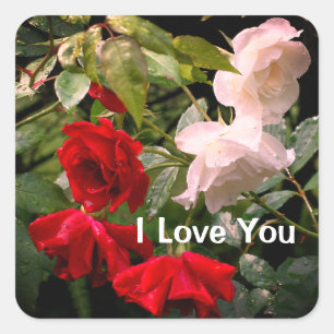 I Love You Drenched Roses Floral Square Sticker