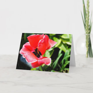 I love you floral greeting card