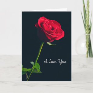 I Love You For Anyone Elegant Red Rose on Black Holiday Card