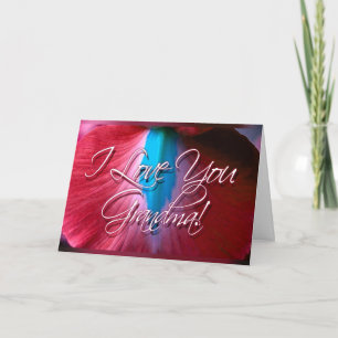 I Love You Grandma! Card (red orchid)