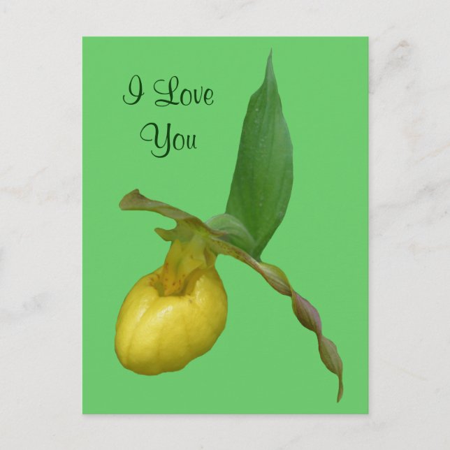 I Love You Lady Slipper Flower Photo Postcard (Front)