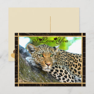 I Love You Leopard Photo Postcard