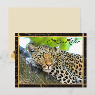 I Love You Leopard Photograph Postcard