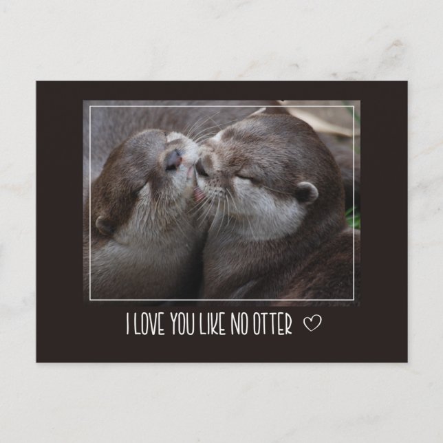 I Love You Like No Otter Cute Photo Postcard (Front)