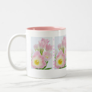 "I love you/like you" in 5 languages mug