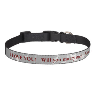 I love you. marry me? bold text brocade dog collar