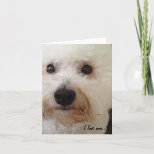 "I Love You...More!" Card