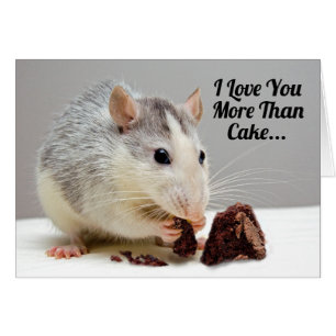 I Love You More Than Cake Happy Birthday Card