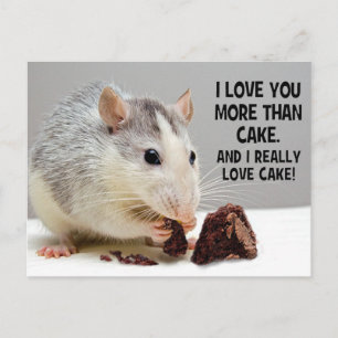 I Love You More Than Cake Pet Rat Postcard