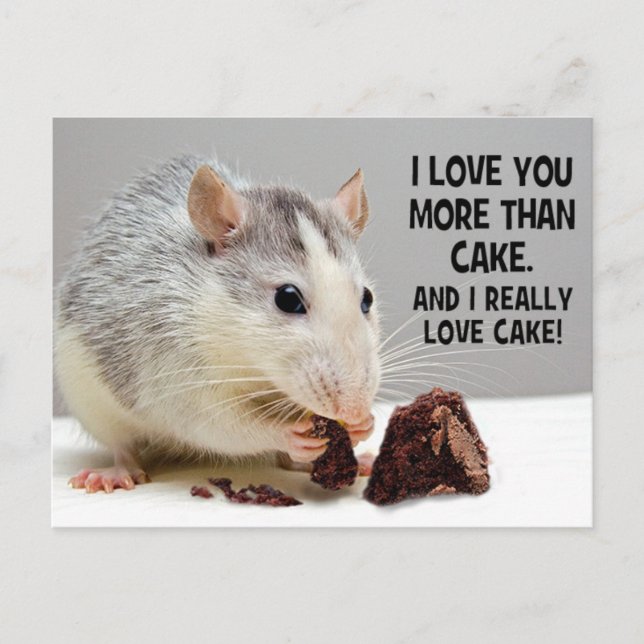 I Love You More Than Cake Pet Rat Postcard (Front)