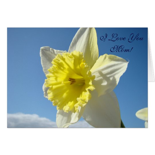 I Love You Mum! Daffodil Flower Spring Blue Sky Card