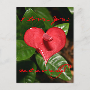 I Love You Naturally! - Valentine's Day + Meanings Holiday Postcard