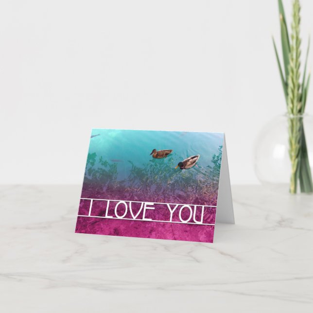 i love you : pair of ducks card (Front)