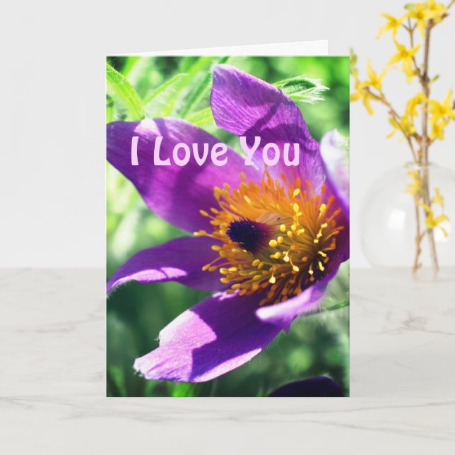 I Love You Pasque Flower Personalised Card (Yellow Flower)