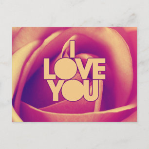 I Love You Pink Rose Postcard
