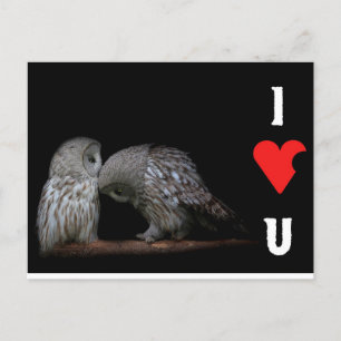 I love you post card