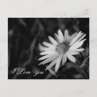 I Love You Postcard