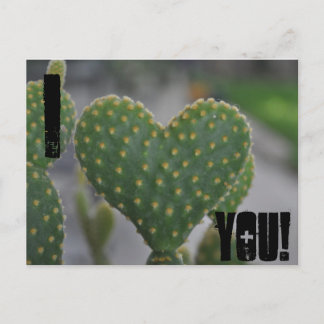 I love you! postcard
