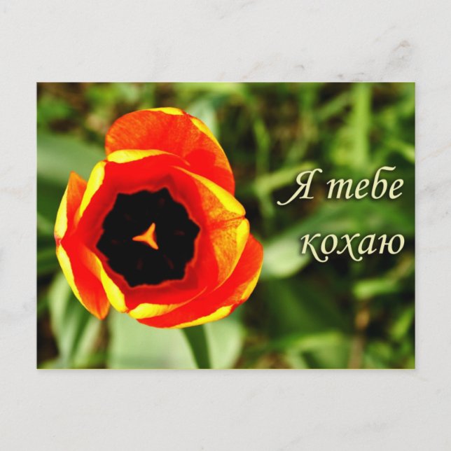 I Love you postcard (Front)