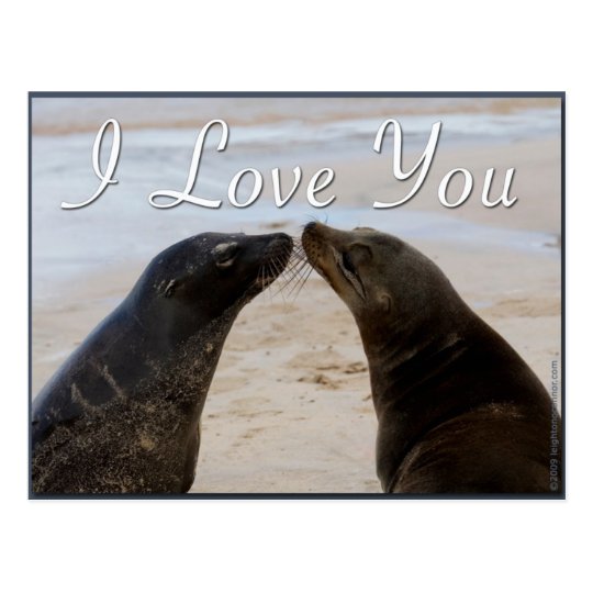 I Love You Postcard