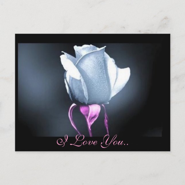 I Love You.. Postcard (Front)