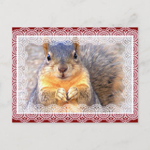 I Love You_ Postcard