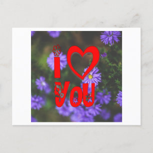 I love you  postcard
