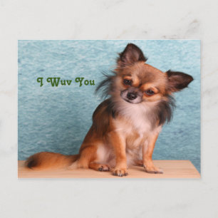 I love you puppy Dog greetings Postcard