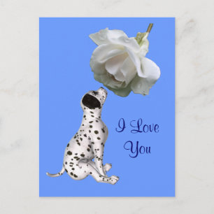 I Love You Puppy Rose Flower Photo Postcard