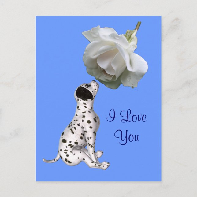 I Love You Puppy Rose Flower Photo Postcard (Front)