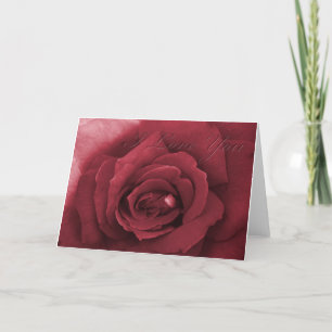 I love you  red rose card