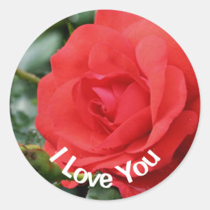 I Love You Red Rose Flower  Classic Round Sticker
