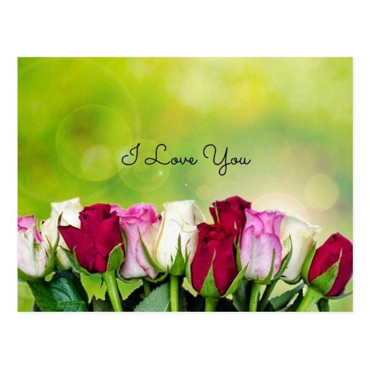I Love You, Rose Garden Design Postcard
