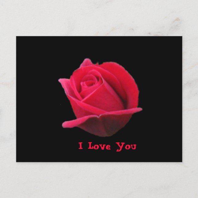 I Love You Rose Postcard (Front)