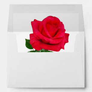 I Love You Single Red Rose Envelope